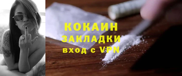 дживик Бронницы