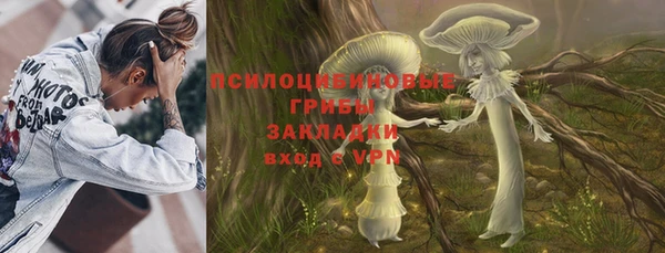 дживик Бронницы