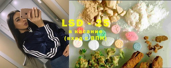 дживик Бронницы