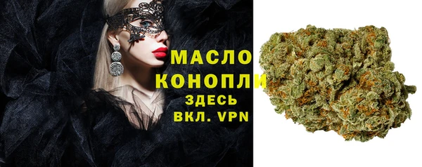 дживик Бронницы