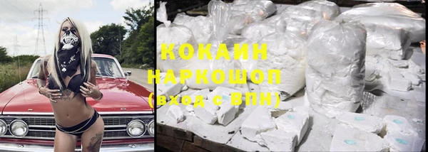 дживик Бронницы